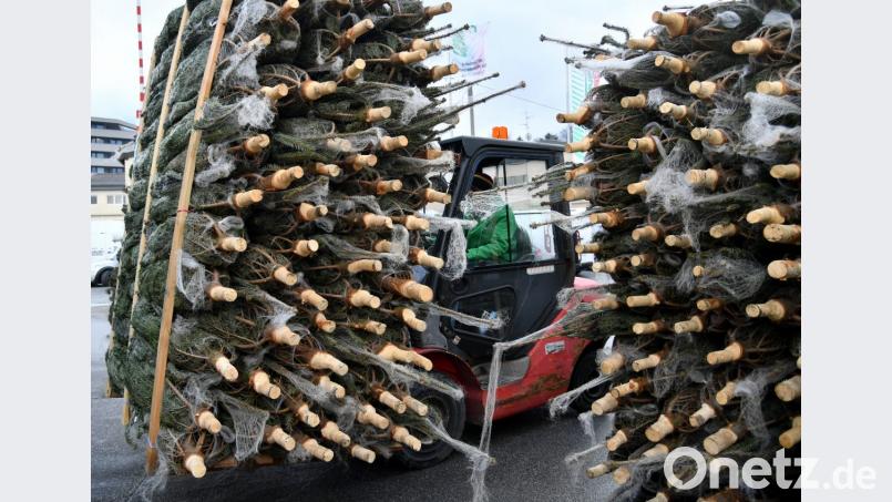 Symbolbild Bild: Barbara Gindl/APA/dpa