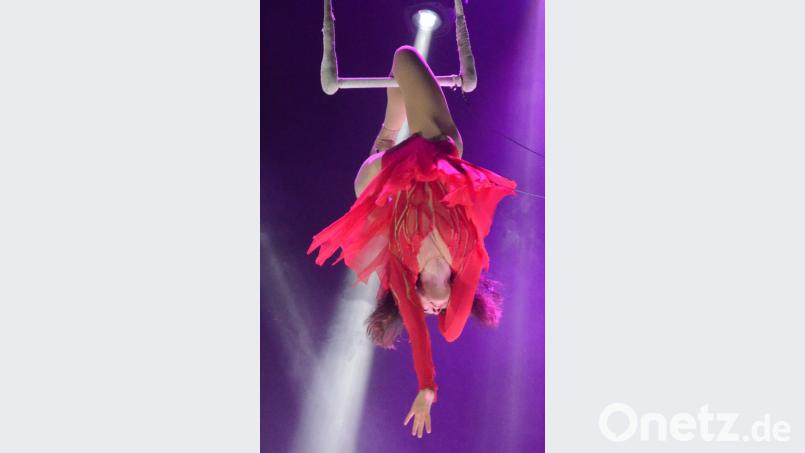 Hochseilartisten versetzten das Publikum in Staunen. Bild: Kunz