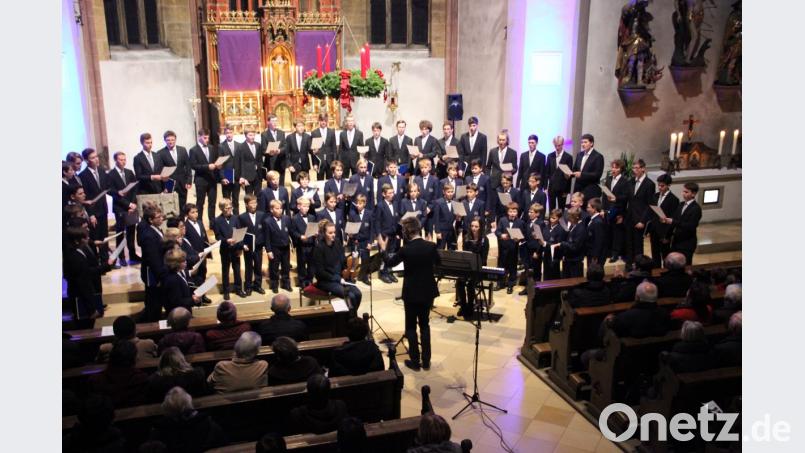 Ein musikalisches Feuerwerk brannte der Nachwuchschor der Regensburger Domspatzen in der Nabburger Pfarrkirche unter der Leitung von Dirigent Maximilian Rädlinger (links, stehend) ab. Begleitet wurden sie von Theresa Seethaler an der Violine und Birgit Brücklmayr am Klavier. Bild: hir