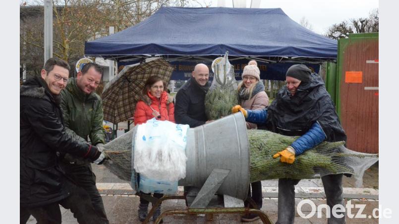 Immer feste ziehen. Die Mitglieder des Lions Clubs Goldene Straße packen an beim Christbaumverkauf. Bild: Kunz