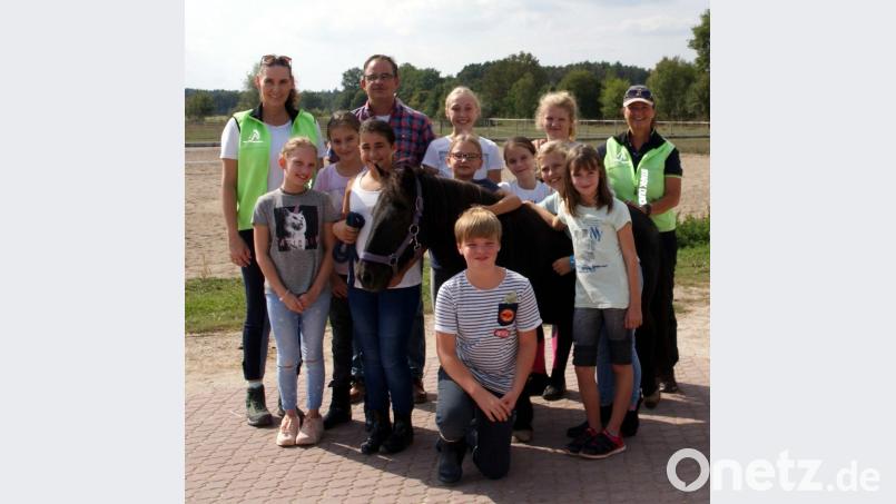 Die Jugendlichen freuen sich schon auf das nächste Pferde-Projekt der Mittelschule Schmidgaden. Bild: exb