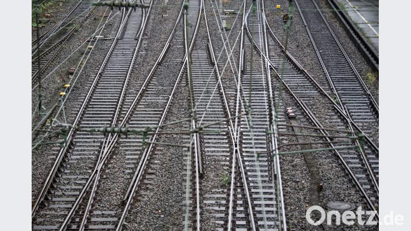 Symbolbild Bild: Federico Gambarini/dpa