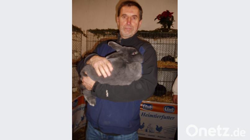 Mit seiner Blauen Wiener (97,5 Punkte) stellte Wolfgang Högl die beste Häsin. Bild: u