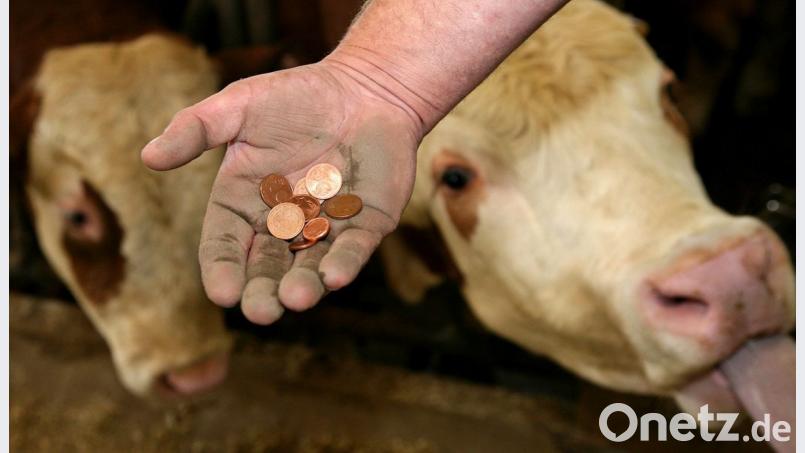 Mit einer EU-Novelle sollen die Milchpreise fairer gestaltet werden. Bild: Gerhard Götz