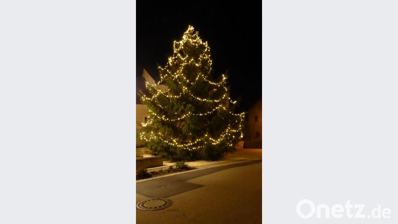Der prachtvolle Christbaum auf dem Dorfplatz in Lintach mit der neuen LED Lichterkette. Bild: jow