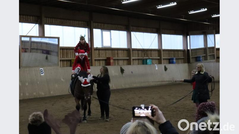 Die Nachwuchsgruppe Voltigieren zeigt akrobatische Kunststücke. Bild: Susanne Forster