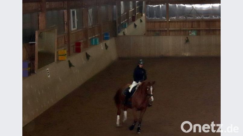 Stefanie Zeus bei der Dressurvorführung mit ihrer Stute Louisan. Bild: Susanne Forster