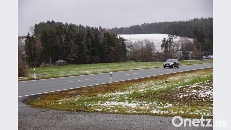 Die grüne Wiese an der Staatsstraße 2177 soll mit einer Photovoltaikanlage bestückt werden. Der Gemeinderat ist strickt gegen die Ausweisung als Sondergebiet durch die Nachbargemeinde Neusorg. Viele Gründe sprechen gegen die PV-Anlage. Bild: bkr