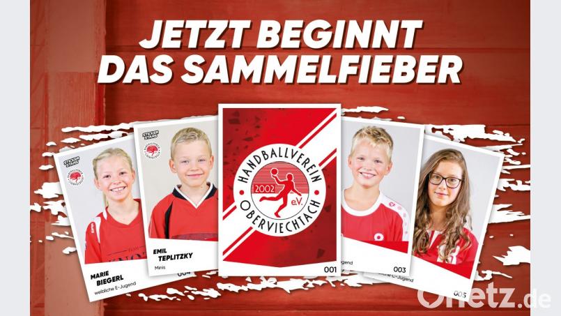 Unter dem Slogan &quot;Jetzt beginnt das Sammelfieber&quot; bewirbt der Handballverein bereits seit einigen Wochen die Aktion &quot;Stickerstars - Sammelalbum für lokale Stars&quot; mit Flyer, Postern, Werbebanner und Facebook-Beiträgen. Auftakt ist am 15. Dezember um 9 Uhr. Bild: gud