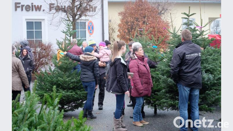 War der richtige Baum gefunden hat, lässt ihn erst los, wenn der Kauf perfekt ist. Bild: wlr