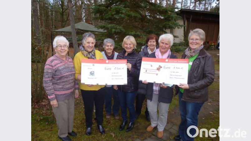 Die OWV-Frauen spenden heuer insgesamt 3000 Euro für die Aktion "Lichtblicke" und die Kinderkrebshilfe. Von links: Inge Witt, Renate Groß, Helga Gebhardt, Elisabeth Wittmann, Sieglinde Bogner, Anneliese Kohl und Gunda Hagn. Bild: bk