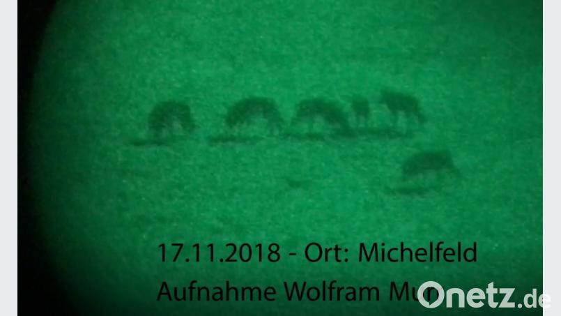 Ein Screenshot aus dem Video von Wolfram Murr Bild: Wolfram Murr