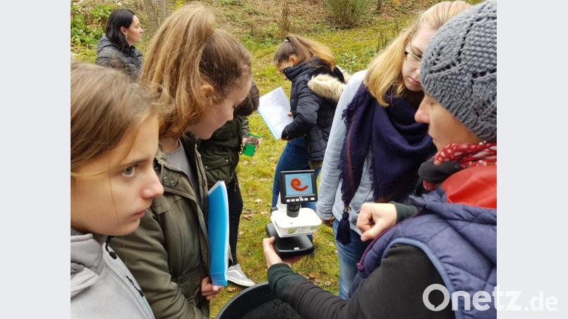 Experimente stehen im Fokus der Austauschschüler und ihrer tschechischen Kollegen in Tábor . Die Jugendlichen nehmen am Erasmus-Programm &quot;Junge Forscher in Europa&quot; teil. Bild: exb