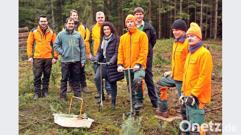 In Aktion. Die einzige Frau vor Ort ist Tanja Hochholzer, sie setzt die erste Douglasie in diesem Windbruchgebiet in der hinteren Mooslohe. Bild: R. Kreuzer