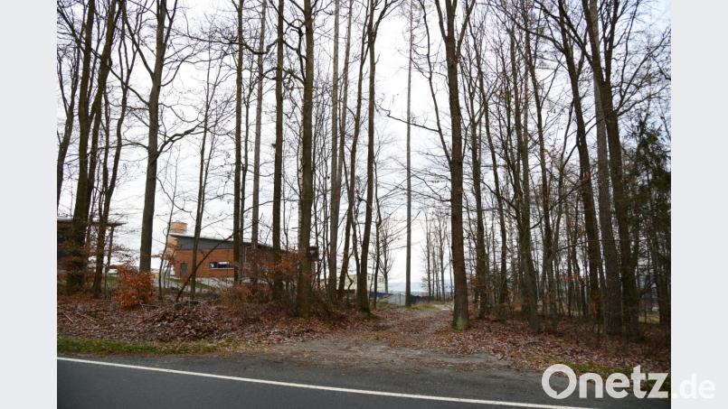 Auf dem Grundstück unterhalb des gemeindlichen Bauhofes (im Hintergrund zwischen den Bäumen) soll der Wertstoffhof errichtet werden. Die bisherige einfache Waldzufahrt (im Vordergrund, Mitte) soll dafür ausgebaut werden. Das Staatliche Bauamt hat dafür die Zustimmung signalisiert. Bild: bey