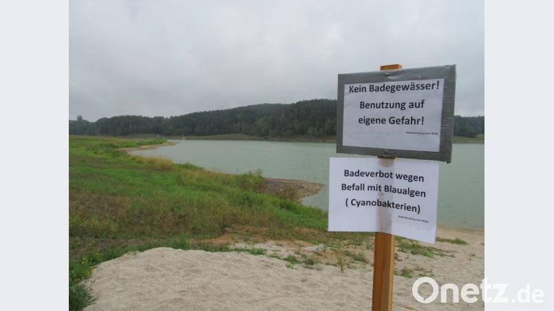 In diesem Sommer gab es zum ersten mal ein Badeverbot für den See, der offiziell dar nicht zu den Badegewässern zählt. Bild: bl