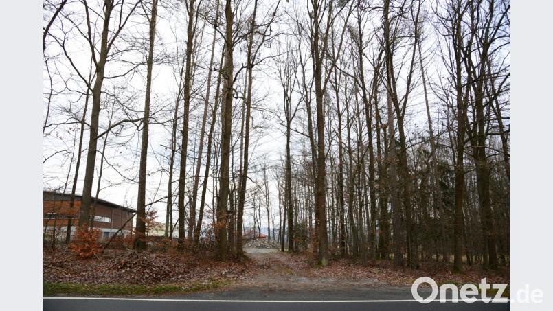 Auf dem Grundstück unterhalb des gemeindlichen Bauhofes (im Hintergrund zwischen den Bäumen) soll der Wertstoffhof errichtet werden. Die bisherige einfache Waldzufahrt (im Vordergrund, Mitte) soll dafür ausgebaut werden. Das Staatliche Bauamt hat dafür die Zustimmung signalisiert. Bild: bey