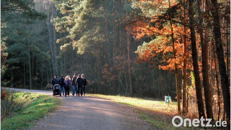 Die Oberpfalz ist bei Touristen – etwa Wanderern – mittlerweile sehr beliebt. Dazu trägt auch das Marketing bei. Bild: Götz