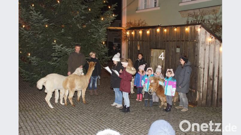 Alpakas, Pony und Hund beeindruckten beim gespielten Adventkalender vor der rustikalen Kulisse beim Christbaum am Rathaus. Bild: mmj