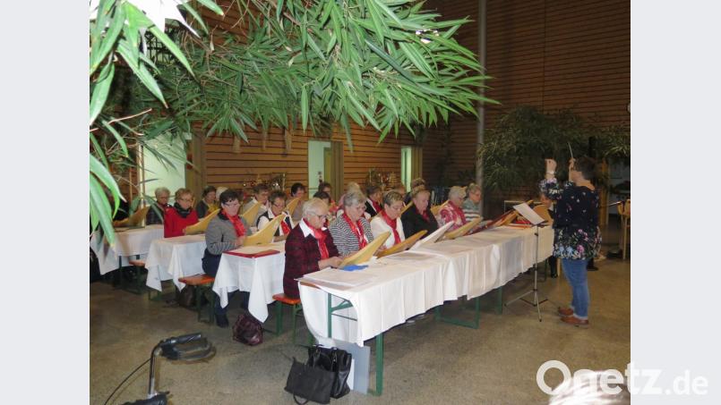 Den Bewohnern des Seniorenzentrums Haus Falkenstein gefällt das Veeh-Harfen-Konzert der Musikschule Neustadt a. d. Waldnaab. Bild: jzk