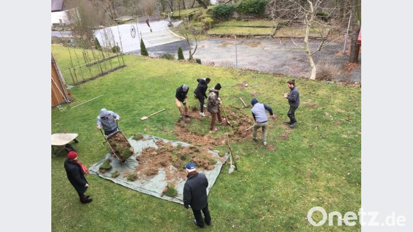 Baumpflanzaktion im Schafferhof Bild: exb