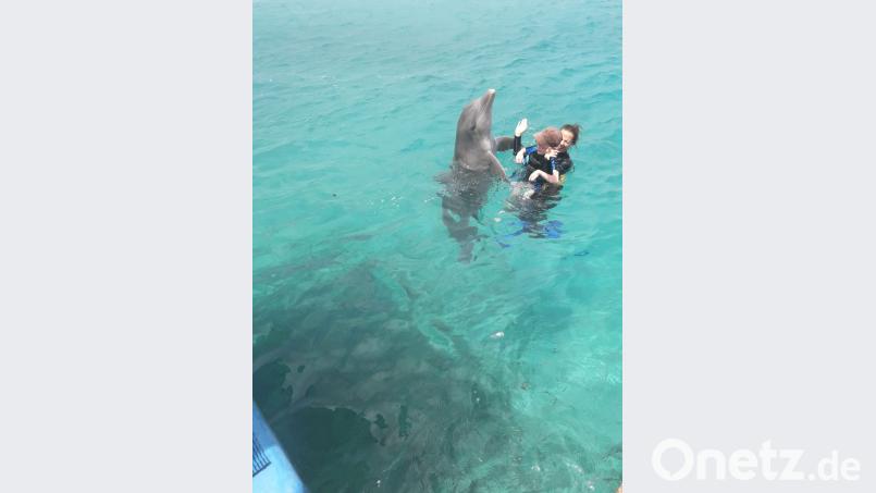 Zwei Delfintherapien hat Bastian Reichl hinter sich. Der Elfjährige machte dadurch enorme Fortschritte in seinem Alltag. Bild: exb