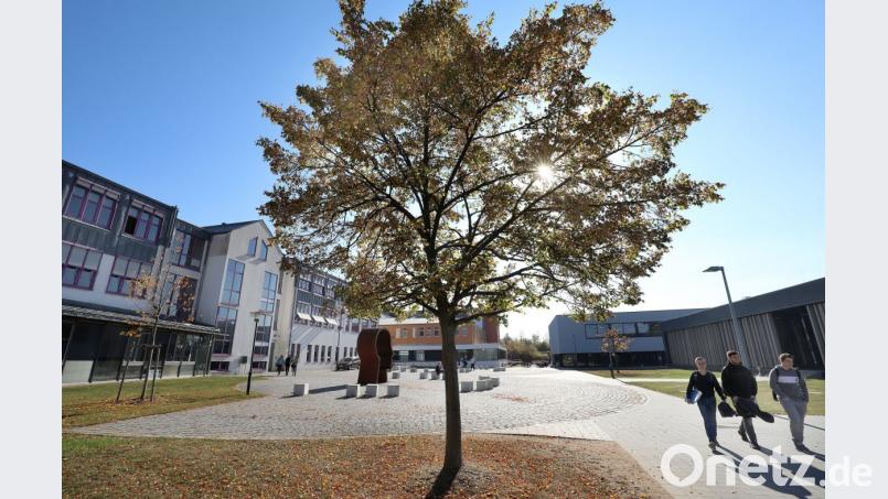 Weiterbildung ist ein wichtiger Karrierebaustein, den auch Heimkehrer berücksichtigen sollten: An der OTH Amberg-Weiden gibt es unter anderem berufsbegleitende Studienangebote. Bild: Wolfgang Steinbacher