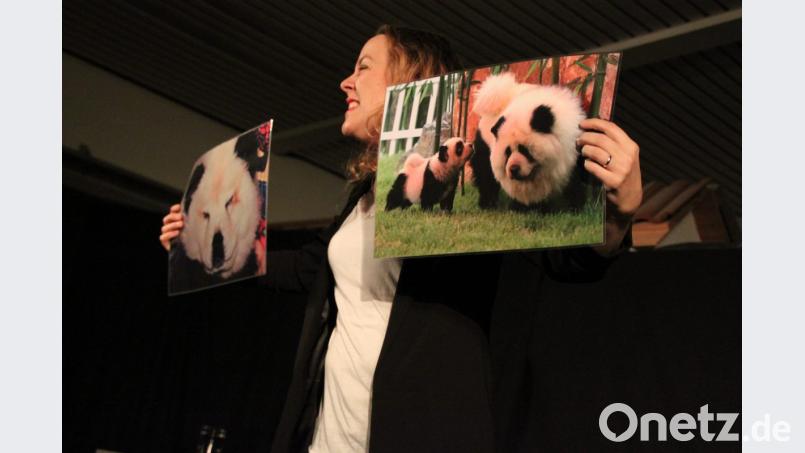 Die Schweizerin Lisa Catena knackt auf der Kleinkunstbühne der Futura den &quot;Panda-Code&quot;. Sie erzählt Wahrheiten, die eigentlich jeder kennt, bringt sie jedoch höchst intelligent und hintergründig in Zusammenhänge, die verwundern, aber auch amüsieren. Bild: prh