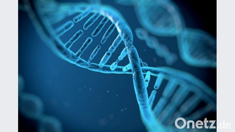 Ein XXY-Chromosom: Ein Fehler bei der Zellteilung löst die Erkrankung aus. Bild: exb