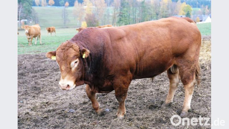 Symbolbild. Bild: do