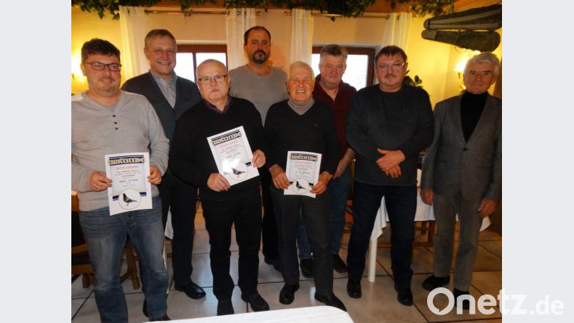Die erfolgreichsten Züchter des Jahres 2018 in der Reisevereinigung Sulzbach-Rosenberg sind (von links) Günther Späth, Vorsitzender Ludwig Maul, Alfred Heinz, Hans Pirner, Hans Grünbauer, Flugleiter Wolfgang Burger, Josef Paulus und Josef Huber. Bild: ct