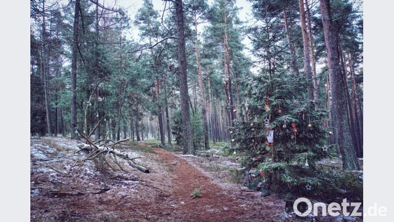 Der geschmückte Baum im Wald bei Aschach. Bild: dmra