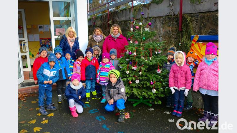 Kindergartenleiterin Nicole Lippert, Margit Rini und Helga Trottmann (hinten von rechts) sorgten dieser Tage zusammen mit den Vorschulkindern für ein üppiges Futterangebot bei den Tieren. Am Vorplatz des Kinderhauses stellten sie einen Futterbaum für die Vögel bereit. Bild: bsc