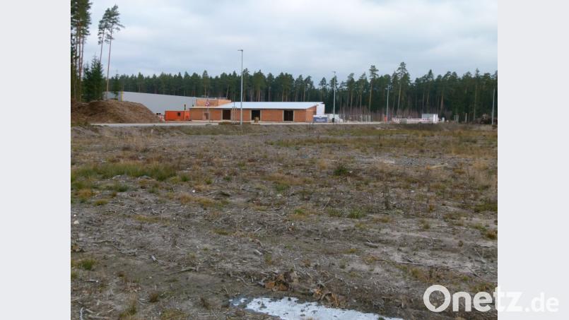 Auf dieser Freifläche gegenüber dem neuen Lippert-Areal wird die Firma Ritter Group ein Verwaltungsgebäude und eine Energiezentrale mit einer Grundfläche von etwa 1000 Quadratmetern errichten. Der Stadtrat segnet beide Vorhaben ab. Bild: rn