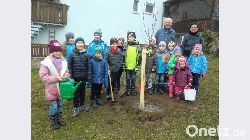 Der Kälte trotzen die Jungen und Mädchen bei der Baumpflanzaktion im Pfarrgarten. Unterstützt werden sie vom Obstexperten Hermann Koch und Vorsitzender Michaela Basler (hinten). Bild: bas