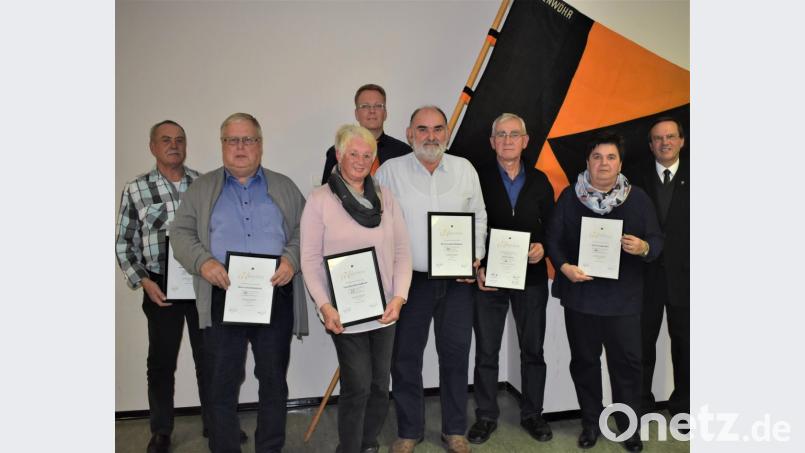 Kolping-Vorsitzender Andreas Greiner (hinten Mitte) bedankte sich bei einigen langjährigen Mitgliedern. Das Bild zeigt von links: Werner Arnold, Anton Benkhardt, Roswitha Englhardt, Gerd Hofmann, Hans Specht, Veronika Hörl und Pfarrer Bernhard Müller. Bild: rgr