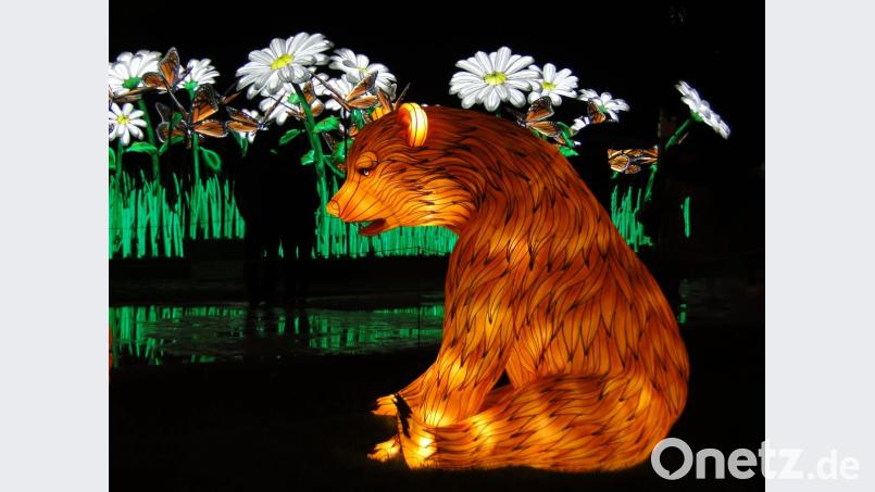 Im Botanischen Garten von Paris sind derzeit bunte Tiere ausgestellt. Sie bestehen aus einer Folie, sind mit Gas gefüllt und leuchten von innen. Bild: esa