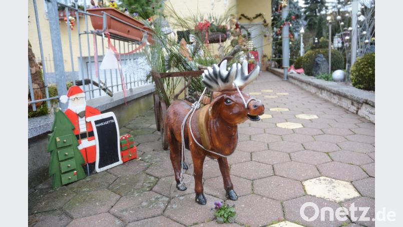 Ein Rentier begrüßt die Besucher in der Sandstraße. Bild: Gabi Schönberger