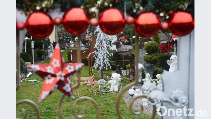 Agnes Kümpfel hat ein Händchen fürs Dekorieren. Mit Beginn der Adventszeit verwandelt sich ihr Garten in ein Weihnachts-Wunderland. Bild: Gabi Schönberger