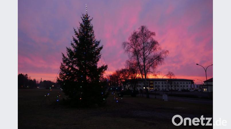 Weihnachtsbaum in den Towerbarracks im Morgenrot. Bild: mor