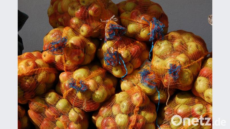 Wer den Obstbaum versteht, kann jedesJahr eine gute Ernte einfahren. Bild: Barbara Ströll, Öko-Modellregion