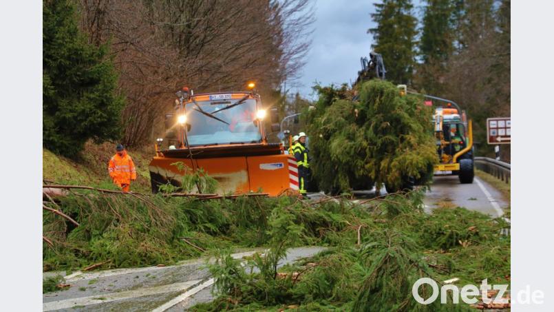 In Sonthofen im Oberallgäu musste die Bundesstraße 19 acht Stunden lang komplett gesperrt werden. Heftige Sturmböen hatten einen Baum auf die Straße stürzen lassen, mehrere beschädigte Bäume wurden vorsichtshalber gefällt. Bild: Benjamin Liss/dpa
