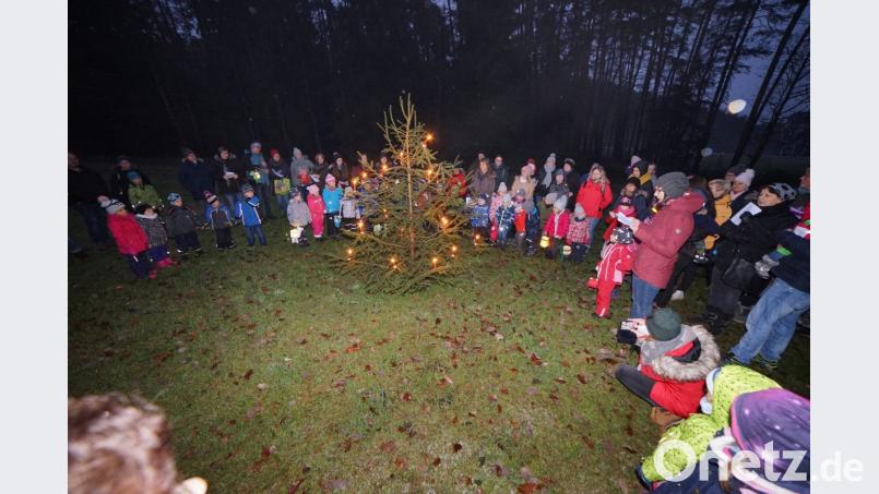 Nach einer kurzen Wanderung versammelten sich die Kinder mit ihren Eltern um den Weihnachtsbaum und sangen weihnachtliche Lieder. Bild: nib