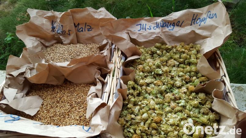 Hopfen aus Illschwang und Biomalz aus der Oberpfalz sind die wichtigsten Zutaten für den Küchenbraukurs mit Hausbrauer Arno Diener. Bild: Barbara Ströll, Öko-Modellregion