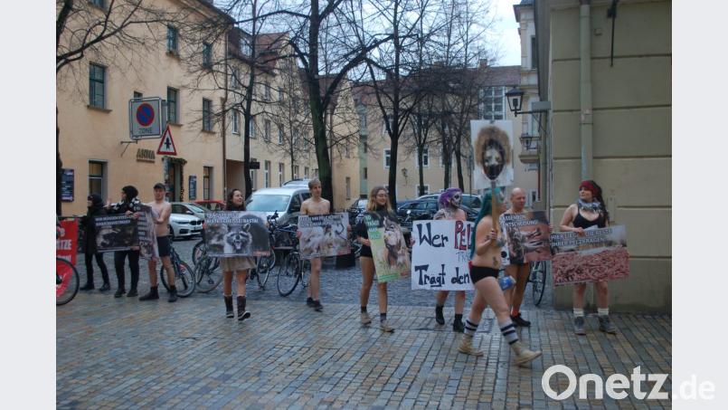 Mit Plakaten demonstrierten Tierschützer gegen das Tragen von Pelz. Bild: gib