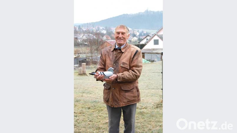 Seit dem Jahr 1991 steht Anton Stigler dem Niedermuracher Jubiläumsverein „Über Berg und Tal“ vor. Er dürfte damit der dienstälteste aktive Vereinsvorstand in der Gemeinde sein. Derzeit tummeln sich rund 60 Brieftauben in seinem Schlag. Bild: boj