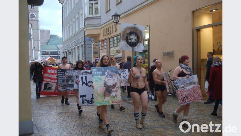 Aufmerksamkeit war ihnen sicher: In Unterwäsche marschierten Tierschützer durch die Regensburger Altstadt, um gegen den Handel und Kauf von Pelz zu demonstrieren. Bild: gib