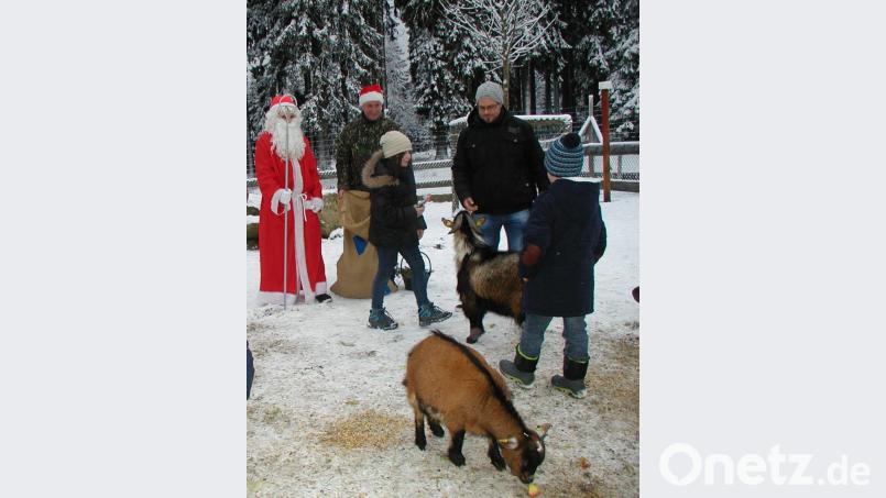 Auch im Wildpark Mehlmeisel schaut der Nikolaus vorbei. Bild: gis