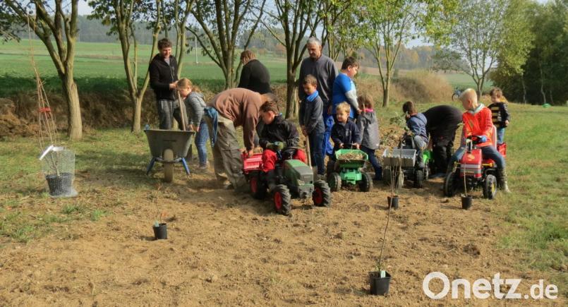Beim Anlegen der Streuobstwiese und der Wildbeerenhecke war auch der Nachwuchs mit seinem Fuhrpark zugange. Beeren werden die Kinder vermutlich schon nächstes Jahr ernten können. Auf die Äpfel, Birnen und Zwetschgen wird man wohl noch eine Weile warten müssen. Bild: kö
