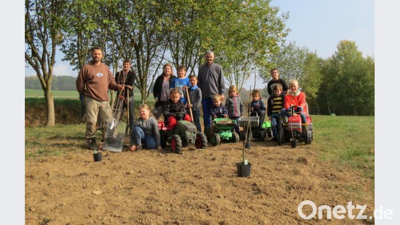 Beim Anlegen der Streuobstwiese und der Wildbeerenhecke war auch der Nachwuchs mit seinem Fuhrpark zugange. Beeren werden die Kinder vermutlich schon nächstes Jahr ernten können. Auf die Äpfel, Birnen und Zwetschgen wird man wohl noch eine Weile warten müssen. Bild: kö